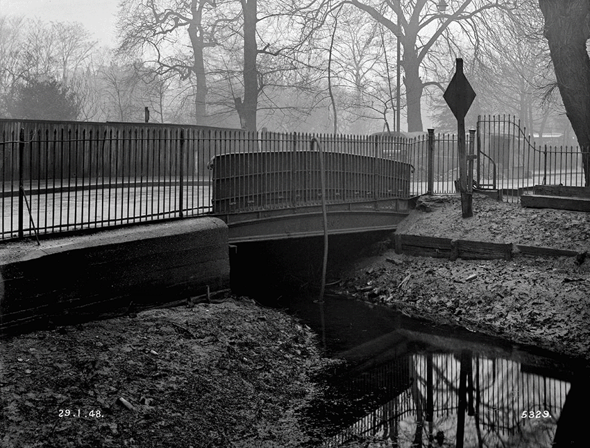 Paradise Bridge animatedGIF