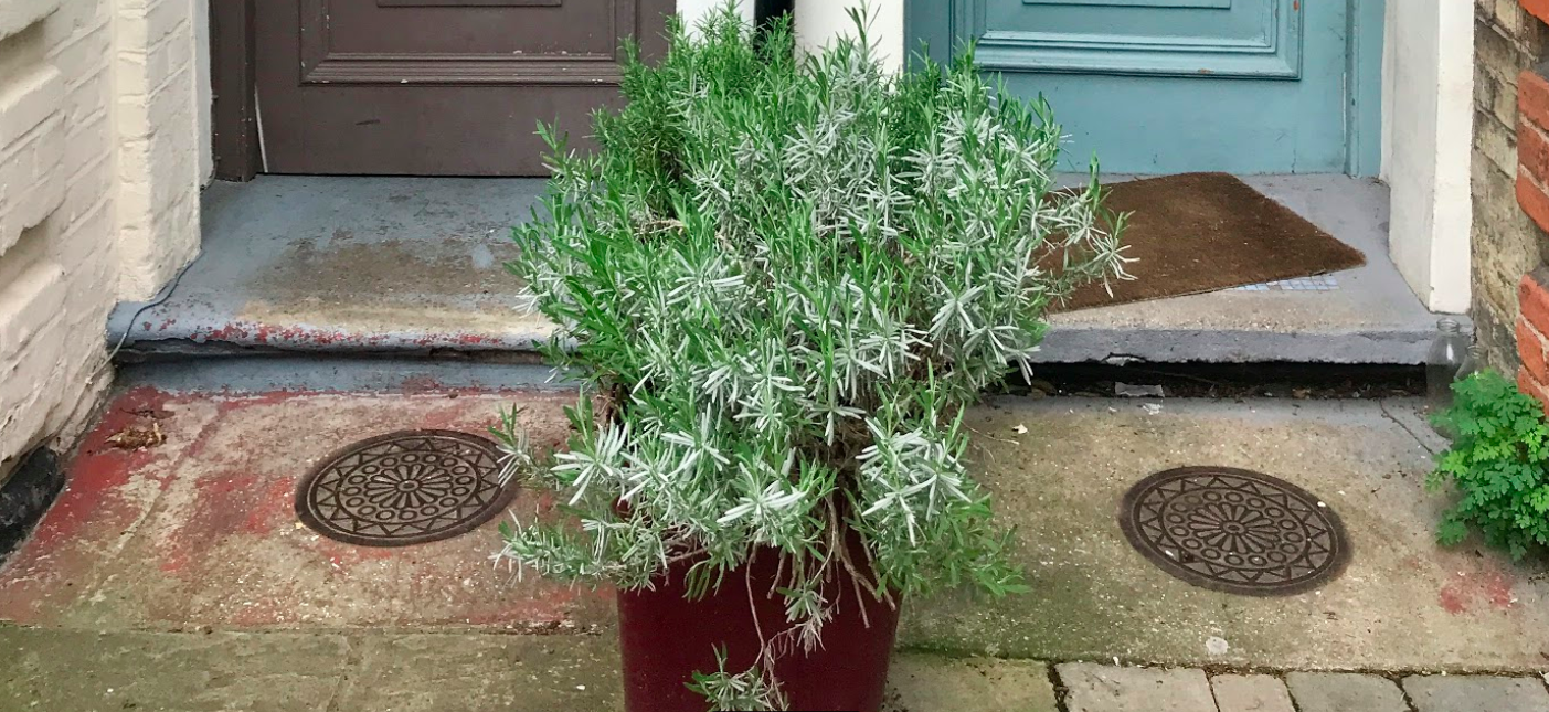 Screenshot 2020-03-31 at 12.47.47